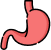 Stomach Icon